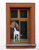 Window Illusion Art dog