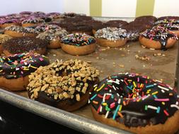 Bread Doughnut