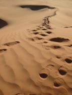 Algeria Desert