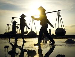 Working Women at Farm