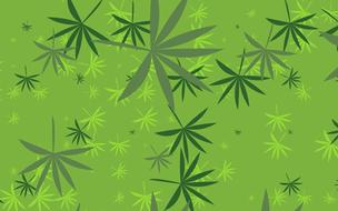 leaves green spring drawing