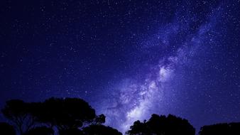 purple Stars on Night Sky and trees