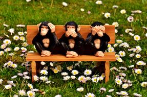 three monkeys on a bench
