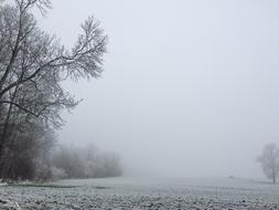 Snow Winter Landscape Trees