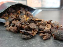 dried treats