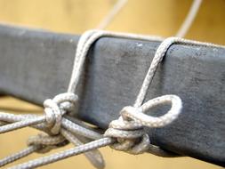 ropes twisted on a log