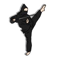 ninja fighter hero shadow