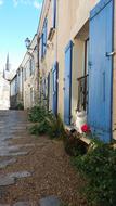 Cat Blue doors