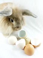 Bunny Rabbit Easter
