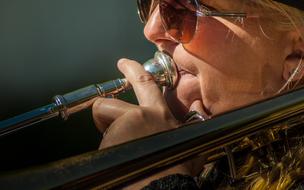 Musician Musical Instrument