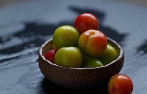 Quiet Fruit