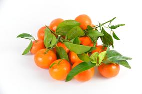 tangerines on branch