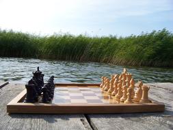 Chess Pieces The Basic