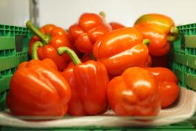 Fresh peppers are delicious