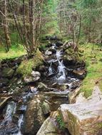 Stream Water River The Nature Of