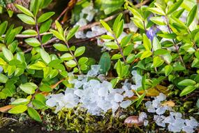 Hail Storm Hailstones Great Balls