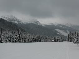 Slovakia Tatry mountains at Winter