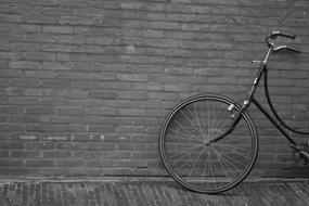 Upright Bicycle Wall