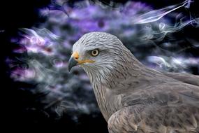 falcon on colorful background