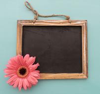 Black image in the wooden frame, with the beautiful, pink, yellow and black flower, on the turquoise surface