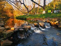Nine Brooks Smoke Tree Creeks