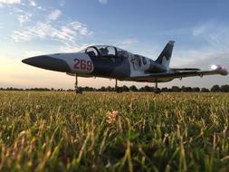 beautiful plane in the field