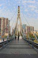 Bridge Engineering Arc Blue