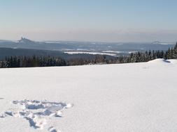 Winter Snow