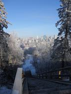 stairs descending to the forest near the city