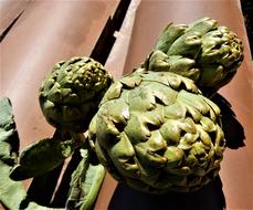 green artichoke fruit