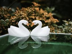 Stilllife Macros Swan