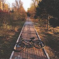 Bike at Street in Spring
