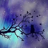 Texture Background Cat branch