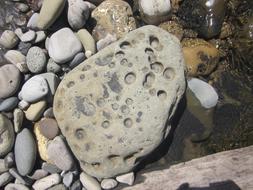 large rock with stones background