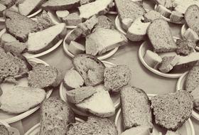 Bread Tasting Healthy Food Whole