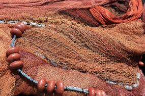 Italy Trapani Fish