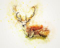 deer lying down abstract drawing