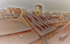 tile roof in the village