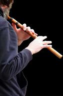 Game Flautist