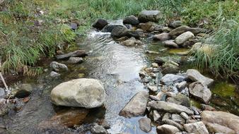 The Rural Brook Creek