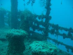 Egypt Red Sea Depth