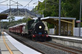 Brisbane Queensland Train