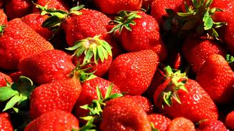 Fruit Strawberry Red Strawberries