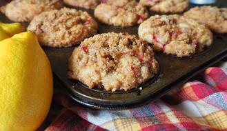 cranberry cookies