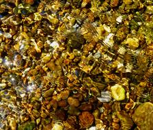 Mountain Stream Crystal Clear