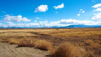 Beautiful Landscape Of Colorado