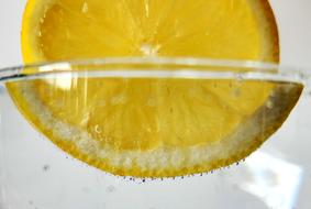 Lemon Citrus Sour