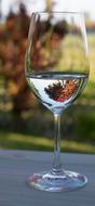 clean glass of water
