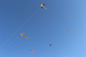 colored flying snakes in the sky