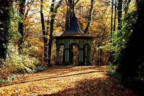 Autumn Pavilion Leaves
